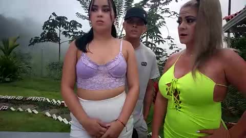 kittens online show from June 6, 11:04 am