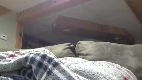 Snapshot of hotandhornyxxx1 chatting on May 1, 8:46 pm Hot and Horny online show from May 1, 8:46 pm