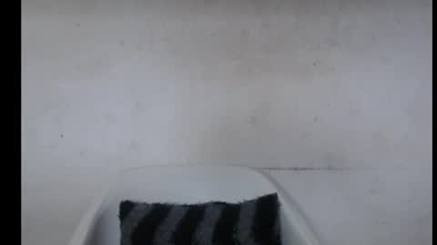 hotjessie0 online show from October 7, 5:04 am