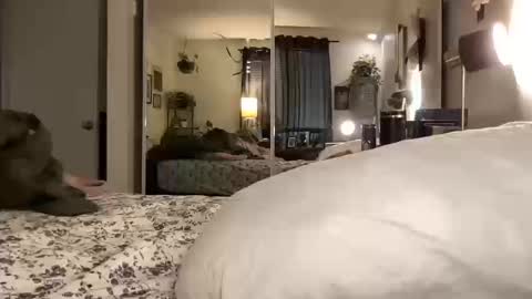 Snapshot of hotmama6666 chatting on October 14, 12:00 am Annabelle online show from October 14, 12:00 am