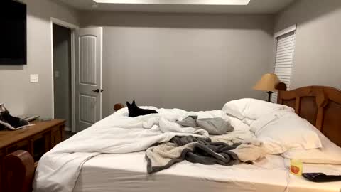 hottiewithabody101 online show from November 11, 6:30 pm