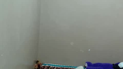 Snapshot of hottieyannie chatting on January 17, 7:38 pm naughtyyanniexxx online show from January 17, 7:38 pm