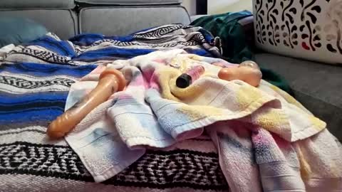 houdicky2 online show from September 19, 3:08 am