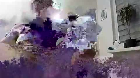 Snapshot of hugo_hug chatting on March 4, 6:58 pm David online show from March 4, 6:58 pm
