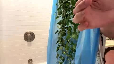 hung_and_horny1005 online show from November 24, 11:15 pm