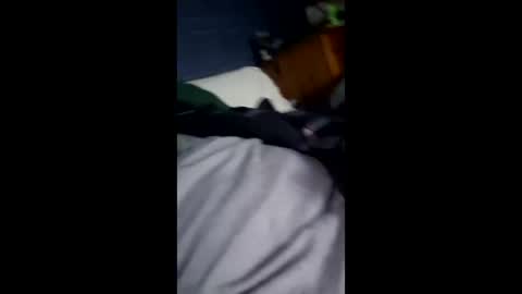 Snapshot of hunk1987_ chatting on April 12, 9:53 pm hunk1987_ online show from April 12, 9:53 pm