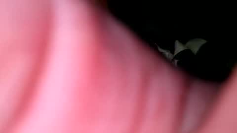 Snapshot of hunk1987_ chatting on April 27, 4:32 am hunk1987_ online show from April 27, 4:32 am