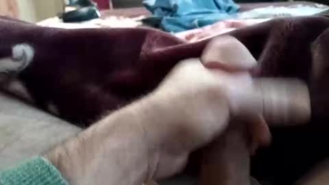 Snapshot of husky1511 chatting on November 11, 9:20 am husky1511 online show from November 11, 9:20 am