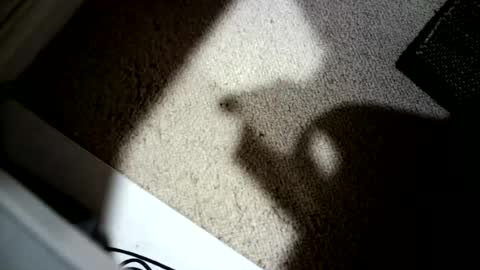Hypeman online show from July 5, 3:45 am