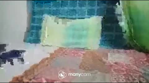 JP online show from September 27, 7:19 pm