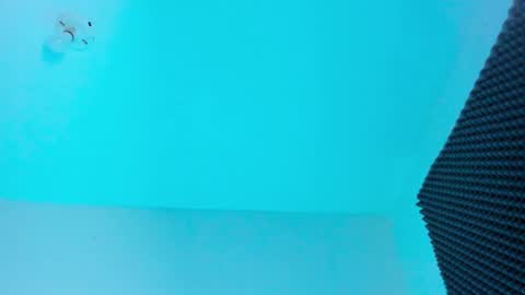 NAHO online show from November 18, 9:52 pm