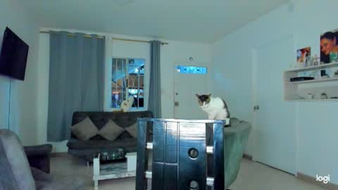 iam_your_fantasy online show from December 4, 12:09 am