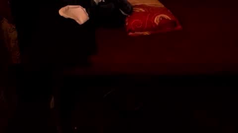 Snapshot of iamsuprememistress chatting on February 8, 10:13 pm MADAM MISTRESS ASIANA online show from February 8, 10:13 pm