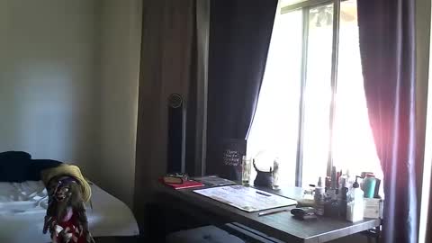 Snapshot of ibpms247 chatting on October 13, 3:45 pm PMS online show from October 13, 3:45 pm