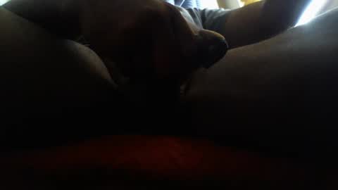 Snapshot of icecreamman6986 chatting on January 1, 8:15 pm icecreamman6986 online show from January 1, 8:15 pm