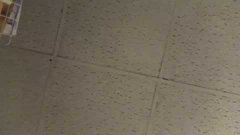 igcognito647033 online show from February 20, 7:54 am