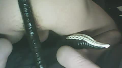 ikercheal online show from January 29, 2:10 pm