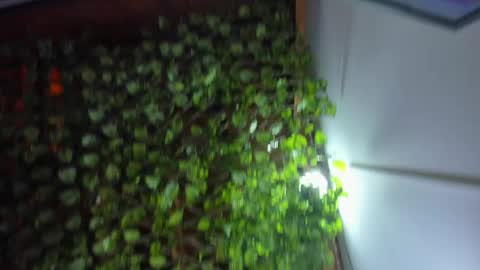 Snapshot of im_xandersmith chatting on May 26, 8:38 pm im_xandersmith online show from May 26, 8:38 pm