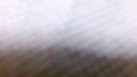 tracy online show from December 28, 8:58 am