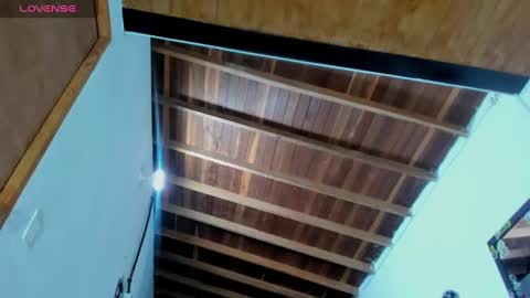 Snapshot of ink_demon chatting on December 29, 3:33 am demon online show from December 29, 3:33 am