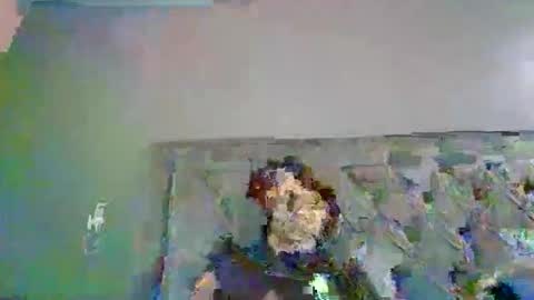 Snapshot of introducingthebrilliance chatting on October 6, 3:48 am WillyTripleXxx online show from October 6, 3:48 am