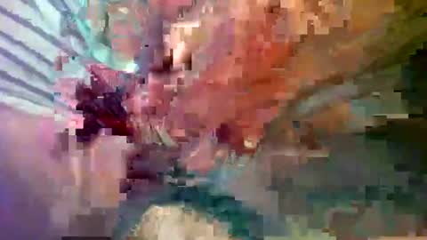 ipuck55 online show from December 14, 8:18 pm