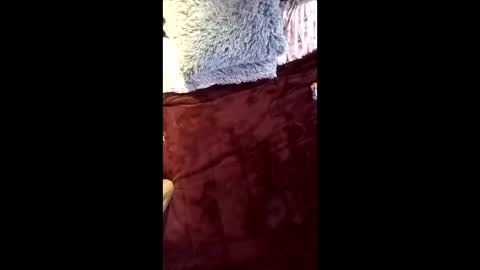 Ral online show from April 16, 9:32 am