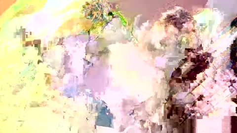 Nathaniel online show from May 13, 4:04 pm