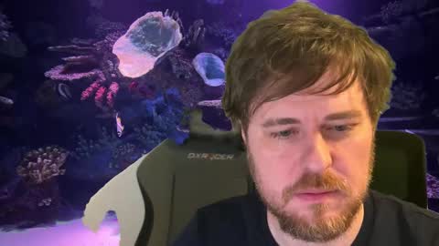 Snapshot of itpain chatting on December 4, 12:53 am pain online show from December 4, 12:53 am