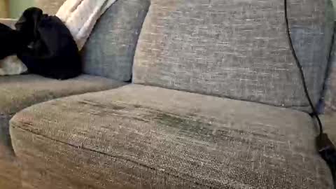 itsjeroen online show from November 2, 1:52 am