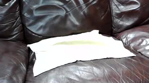 j0junkie online show from February 25, 7:03 pm