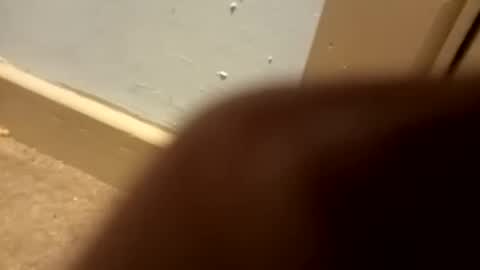 Snapshot of j434934 chatting on January 5, 7:28 pm j434934 online show from January 5, 7:28 pm