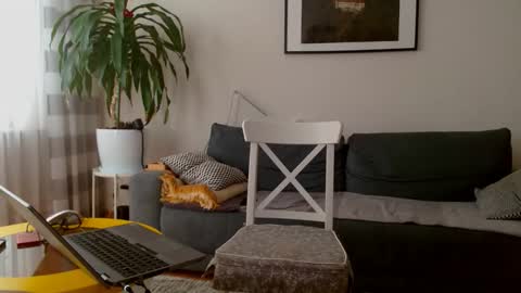 jacek___1 online show from February 27, 9:09 am