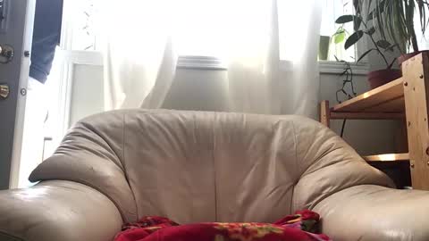 Jacob online show from February 14, 4:59 pm