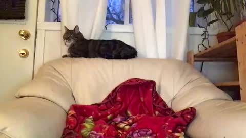 Jacob online show from February 22, 10:52 pm