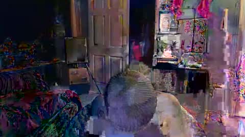 Snapshot of jadelondonxo chatting on February 16, 10:50 pm Jade online show from February 16, 10:50 pm