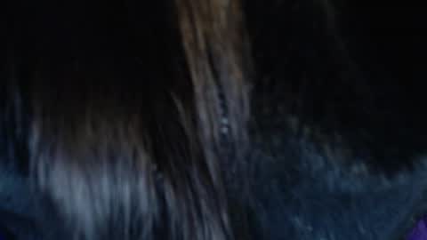 Snapshot of jalea_real_69 chatting on July 19, 6:50 am jalea_real_69 online show from July 19, 6:50 am