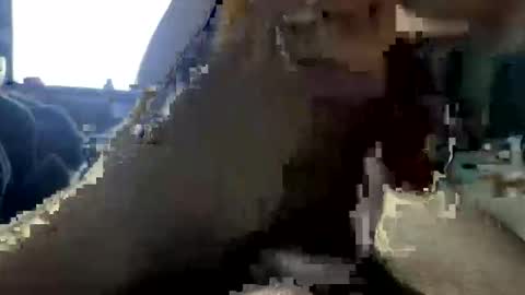 Snapshot of jalenwnut chatting on May 25, 4:29 am jalenwnut online show from May 25, 4:29 am