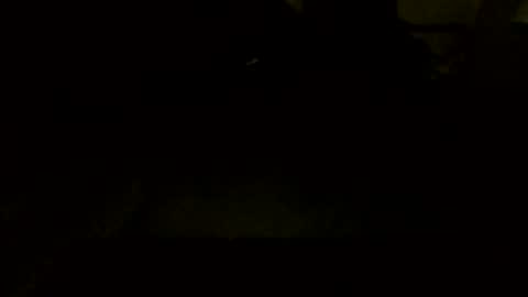 Jamacian online show from October 7, 9:45 pm