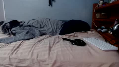 what you in too online show from February 16, 1:29 pm