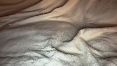 jamesdean0101 online show from January 14, 10:47 pm