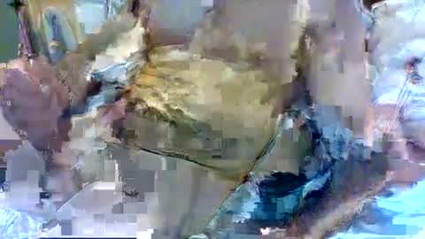 Snapshot of jameswhite5001 chatting on February 8, 3:21 pm jameswhite5001 online show from February 8, 3:21 pm