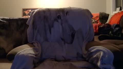 jameswolf777 online show from December 16, 2:44 pm