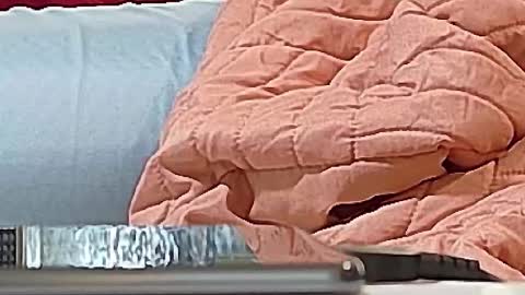 Bootyshows online show from September 15, 12:38 pm