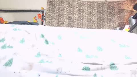 Bootyshows online show from October 23, 4:17 pm