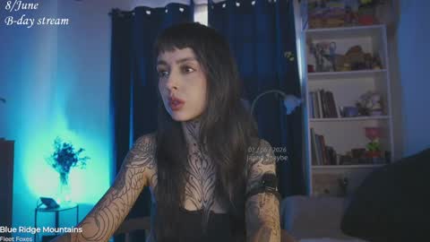 Snapshot of janne_maybe chatting on June 2, 3:14 pm jmaybe e online show from June 2, 3:14 pm
