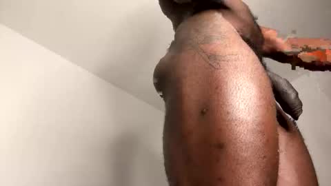 Janstallionx Independent official account online show from February 12, 9:43 pm