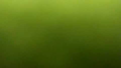 jarret8222 online show from March 5, 9:27 am