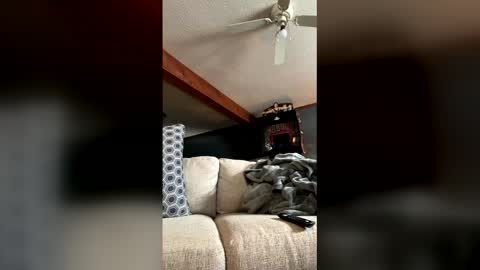 Jaws  online show from January 5, 7:50 pm