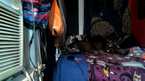 jaxxx666 online show from February 25, 4:46 am